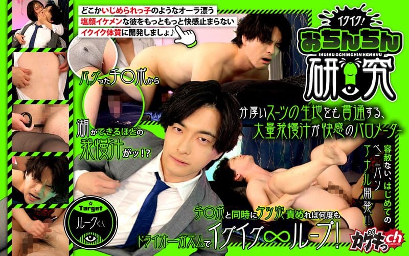 『イクイク！おちんちん研究 targetルークくん』の代表画像