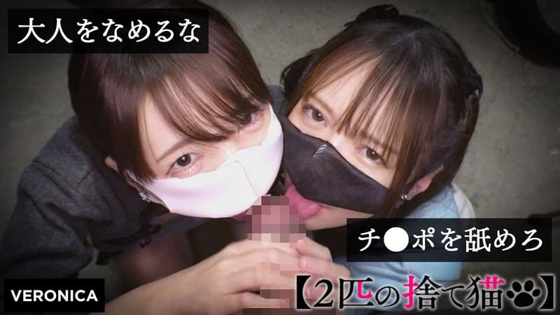 『N.K.＆I.M.』の代表画像