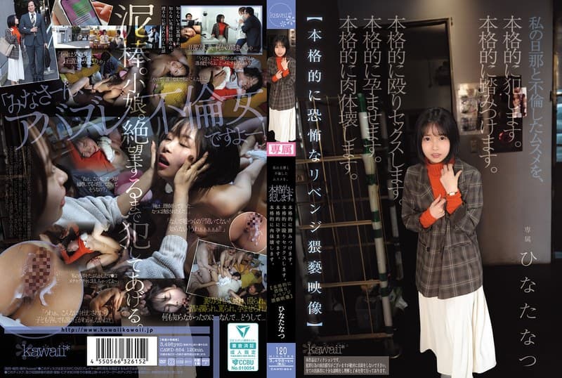 『私の旦那と不倫したムスメを、本格的に犯します。本格的に踏みつけます。本格的に殴りセックスします。本格的に孕ませます。本格的に肉体壊します。【本格的に恐怖なリベンジ猥褻映像】 ひなたなつ』の代表画像