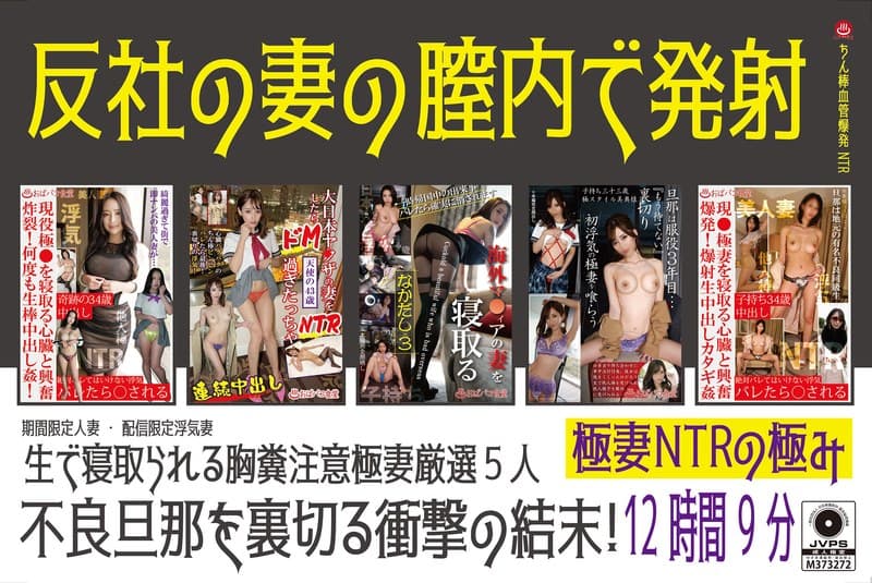 『極妻NTRの極み 12時間9分』の代表画像