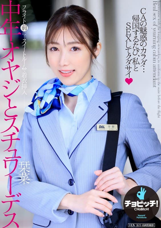『中年オヤジとスチュワーデス 宇野栞菜』の代表画像