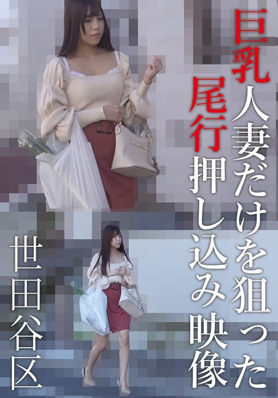 『巨乳人妻だけを狙った尾行押し込み映像 世田谷区』の代表画像