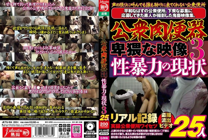 『公衆肉便器 卑猥な映像 性暴力の現状3 25人』の代表画像
