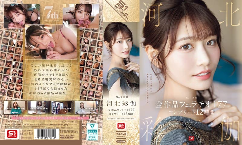 『No.1美顔 河北彩伽 全作品フェラチオ177 コンプリート12時間』の代表画像