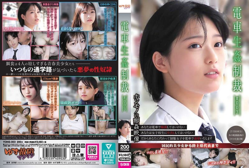 『電車生姦制裁 ＃003』の代表画像