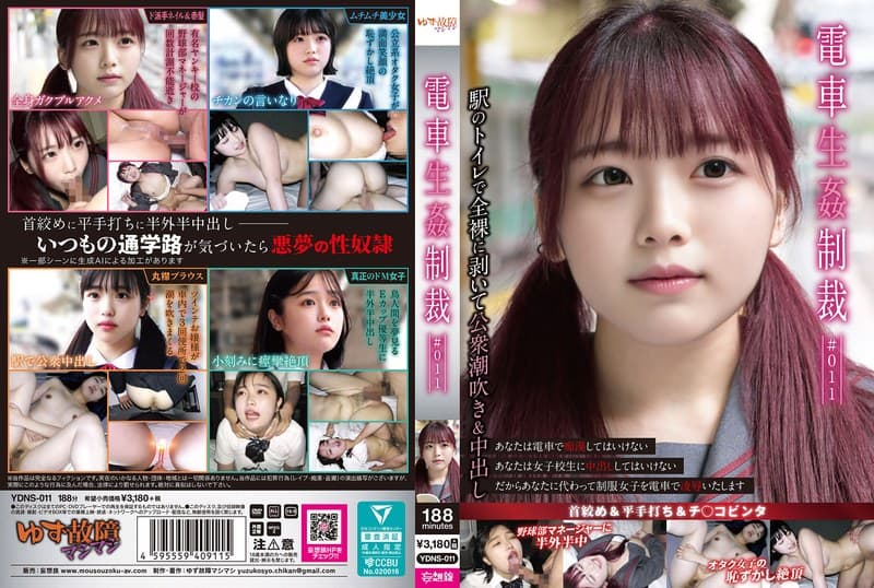 『電車生姦制裁 ＃011』の代表画像